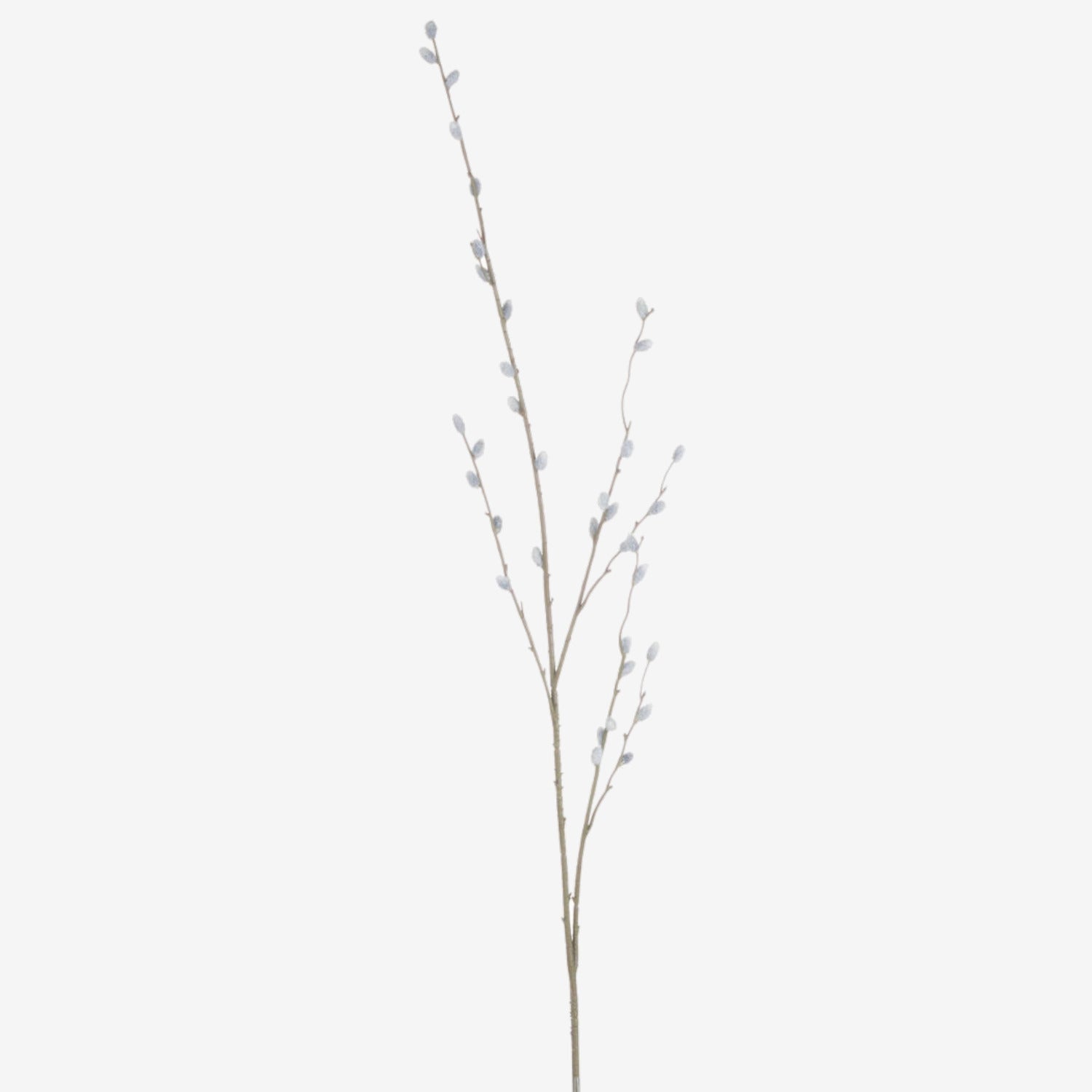 Pussy Willow Branch – Willow & Harper